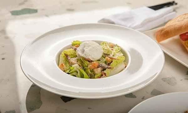 Les tendances incontournables du marché du vin en 2024