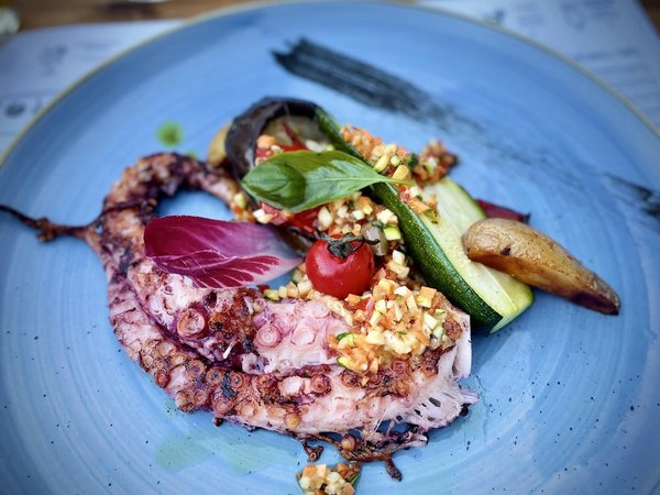 Comment choisir une plancha électrique pour des grillades parfaites ?